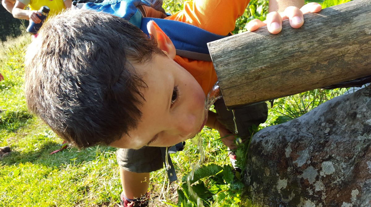 V naravi ni&nbsp;popustkov