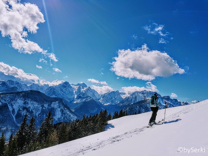 20180309-spletno_gnezdo-serkezi_matjaz-lavine-004