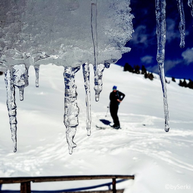 20180309-spletno_gnezdo-serkezi_matjaz-lavine-010