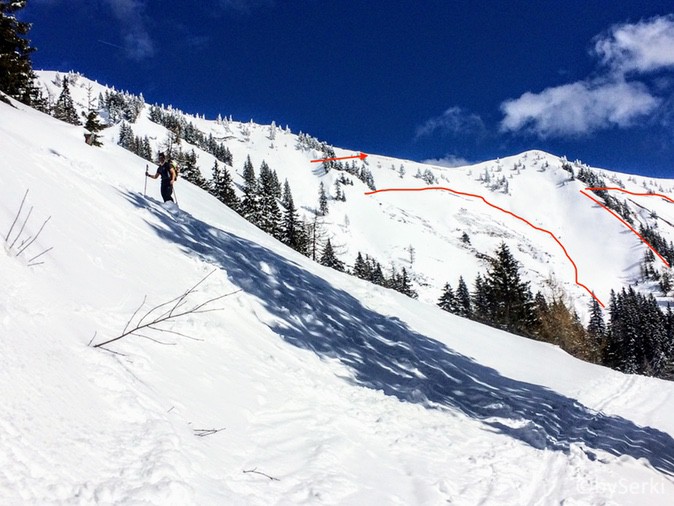 20180309-spletno_gnezdo-serkezi_matjaz-lavine-012