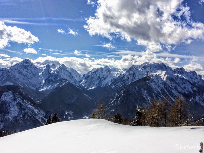 20180309-spletno_gnezdo-serkezi_matjaz-lavine-013