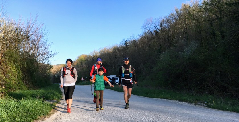 clone tag: -2981132262863329209