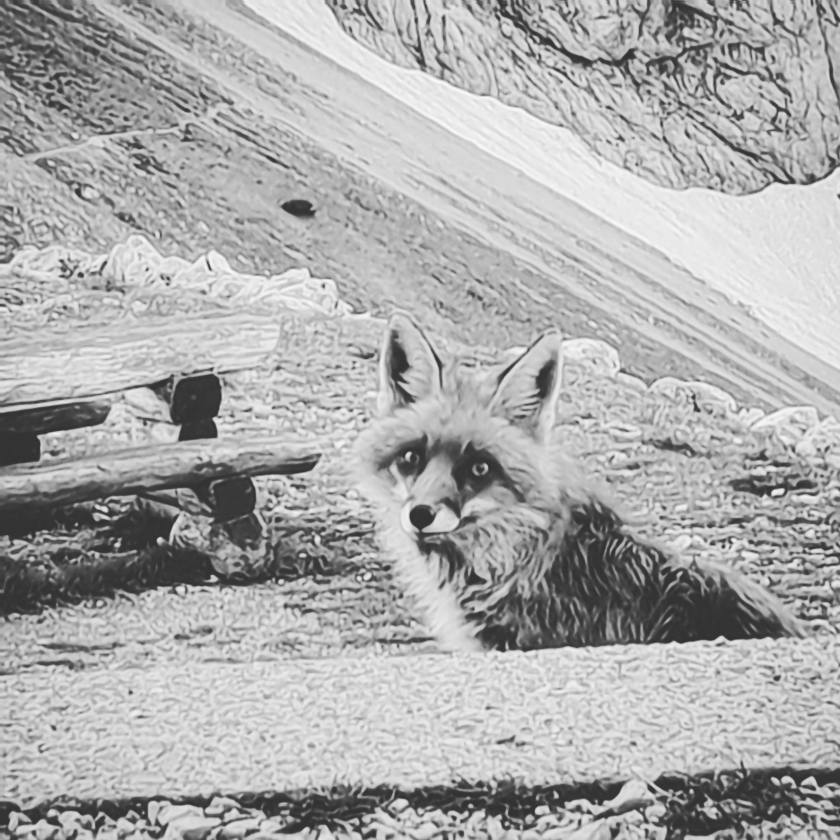 img_20180527_070302_755