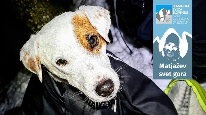 Imeti psa je lepo, hkrati pa zahteva dosledno in odgovorno ravnanje (tudi v gorah in&nbsp;hribih)