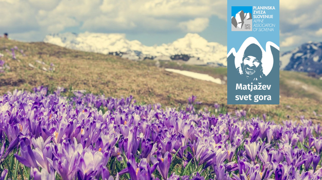 Gore ostajajo enake, toda … Vedno bolj zaklenjeni v virtualni svet se oddaljujemo od narave in postajamo&nbsp;pomehkuženi