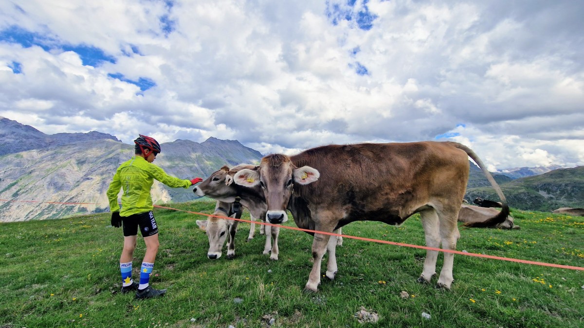 Včasih bi najraje uporabil stavek Andreja Štera: »Pejt u k***c«, a imam upanje v človeka in dobro in pomagam, tudi če me je prej napizdil, da se samo svaljkam po Planinski zvezi&nbsp;Slovenije